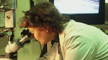 Mary Ellen St. John looks into a microscope in this historical image.